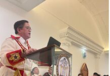 Grand Master Visits Region 11-D